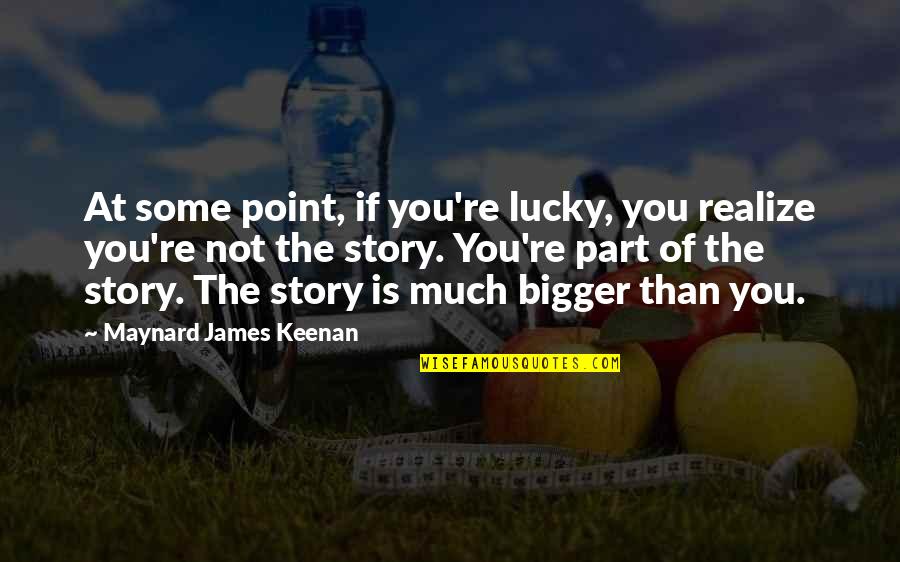 At Some Point You Realize Quotes By Maynard James Keenan: At some point, if you're lucky, you realize