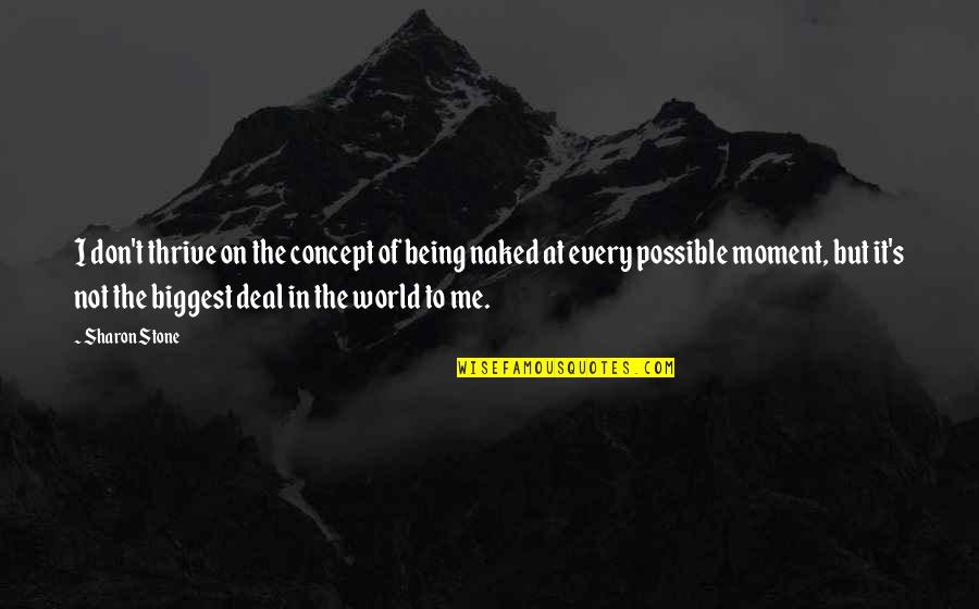 At The Moment Quotes By Sharon Stone: I don't thrive on the concept of being At The Moment Quotes By Sharon Stone: I don't thrive on the concept of being