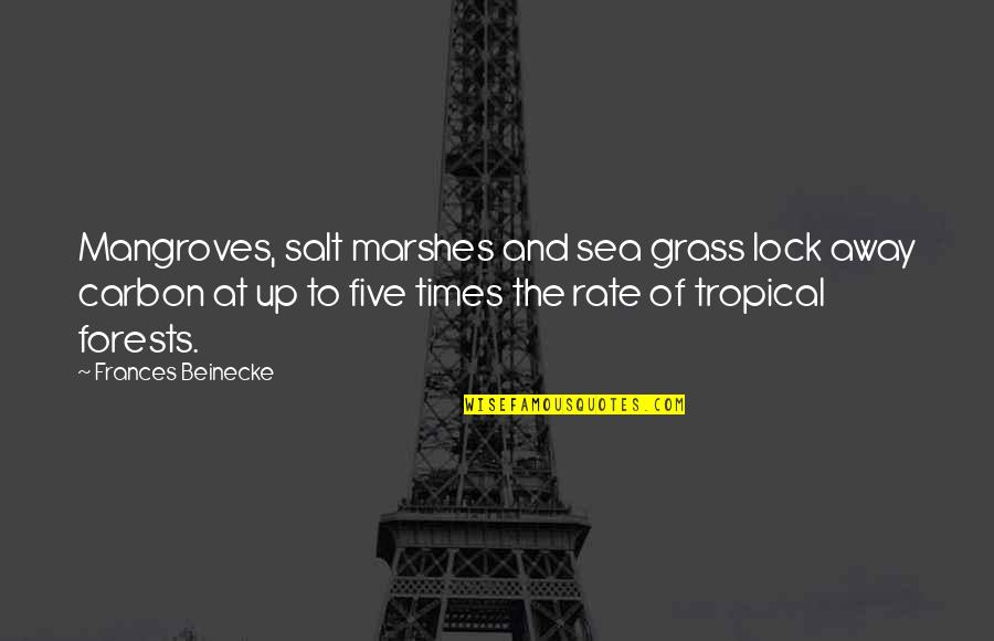 At The Rate Quotes By Frances Beinecke: Mangroves, salt marshes and sea grass lock away At The Rate Quotes By Frances Beinecke: Mangroves, salt marshes and sea grass lock away
