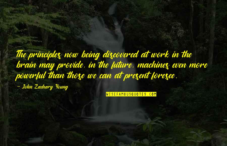 At Work Quotes By John Zachary Young: The principles now being discovered at work in
