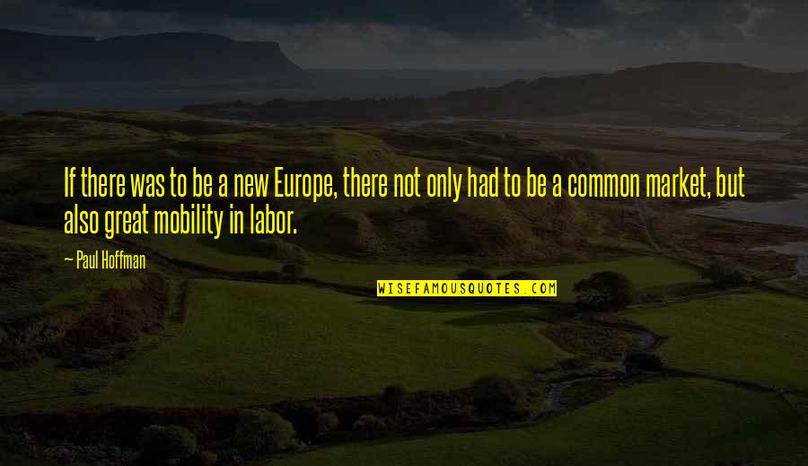 Ataata Quotes By Paul Hoffman: If there was to be a new Europe,