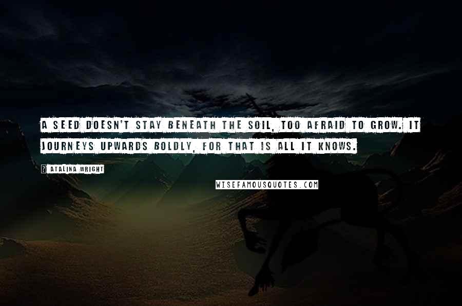 Atalina Wright quotes: A seed doesn't stay beneath the soil, too afraid to grow. It journeys upwards boldly, for that is all it knows.