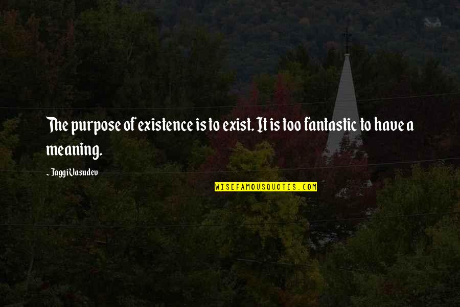 Atamjit Singh Quotes By Jaggi Vasudev: The purpose of existence is to exist. It