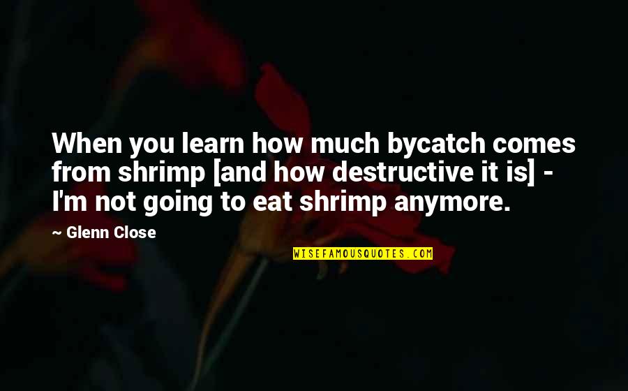 Atanasijevic Perugia Quotes By Glenn Close: When you learn how much bycatch comes from Atanasijevic Perugia Quotes By Glenn Close: When you learn how much bycatch comes from