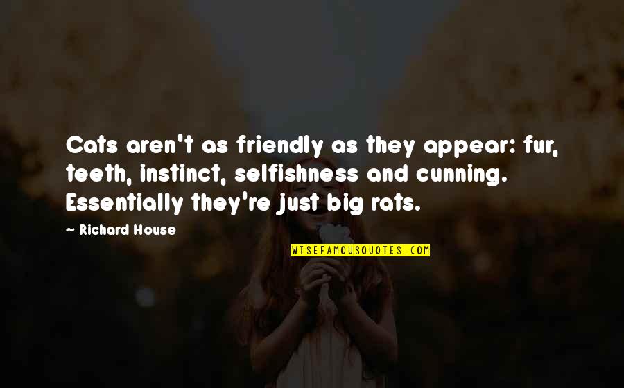 Atanasijevic Perugia Quotes By Richard House: Cats aren't as friendly as they appear: fur, Atanasijevic Perugia Quotes By Richard House: Cats aren't as friendly as they appear: fur,