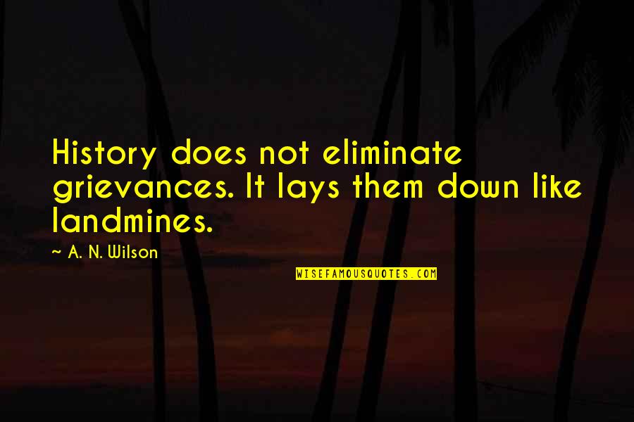 Ataque A Las Torres Quotes By A. N. Wilson: History does not eliminate grievances. It lays them