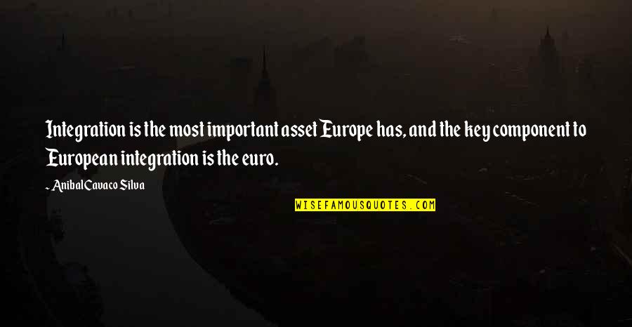 Atarah For Tallit Quotes By Anibal Cavaco Silva: Integration is the most important asset Europe has,