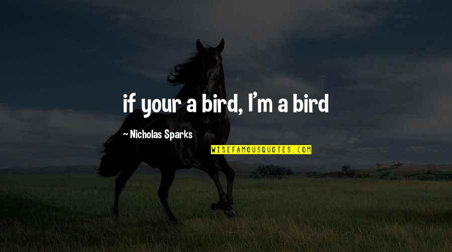 Ataszoo Quotes By Nicholas Sparks: if your a bird, I'm a bird Ataszoo Quotes By Nicholas Sparks: if your a bird, I'm a bird