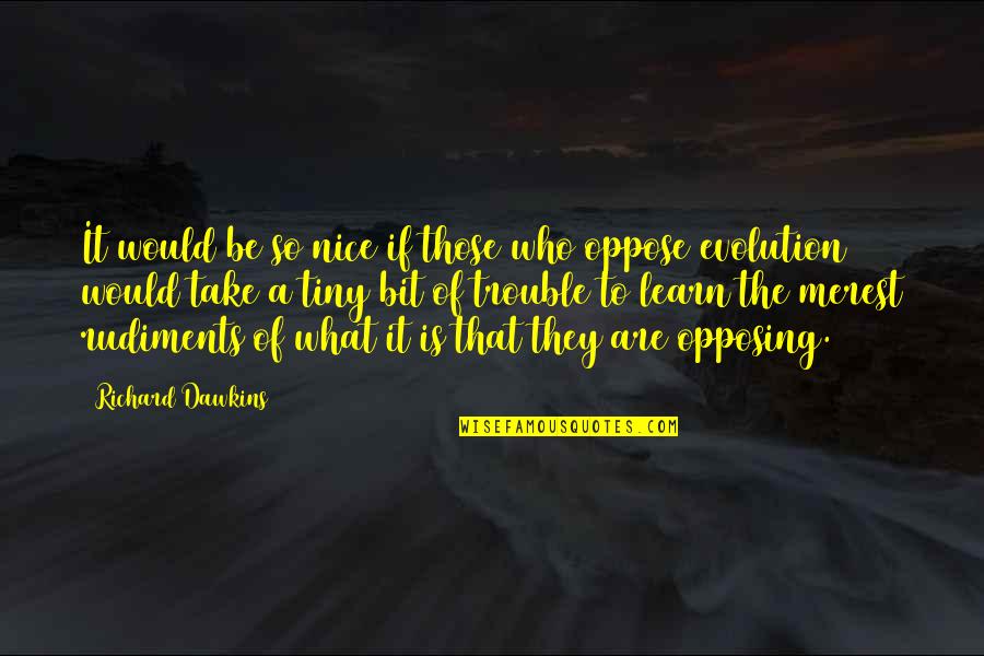 Atbp Quotes By Richard Dawkins: It would be so nice if those who