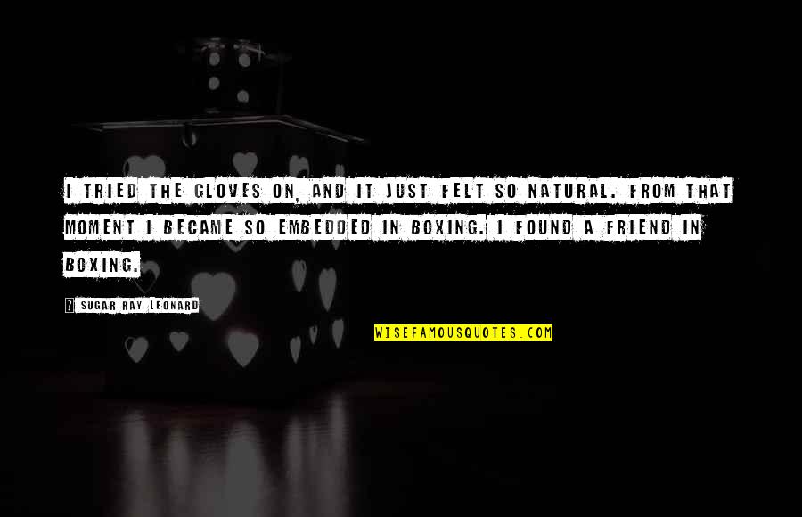 Atbp Quotes By Sugar Ray Leonard: I tried the gloves on, and it just Atbp Quotes By Sugar Ray Leonard: I tried the gloves on, and it just
