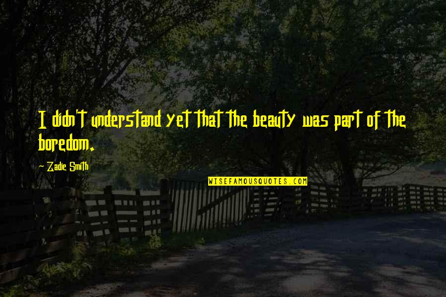 Ateitis Quotes By Zadie Smith: I didn't understand yet that the beauty was