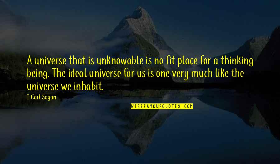 Ateles Monkey Quotes By Carl Sagan: A universe that is unknowable is no fit