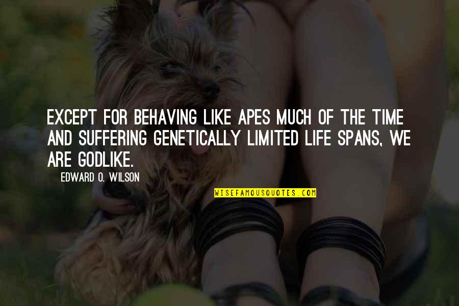 Ateos Latinos Quotes By Edward O. Wilson: except for behaving like apes much of the Ateos Latinos Quotes By Edward O. Wilson: except for behaving like apes much of the