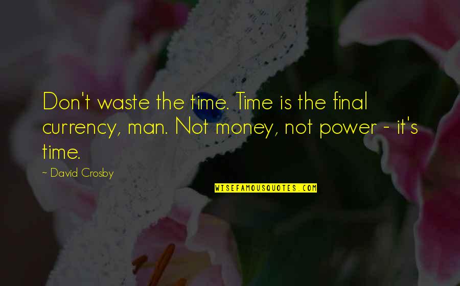 Ateverything Quotes By David Crosby: Don't waste the time. Time is the final