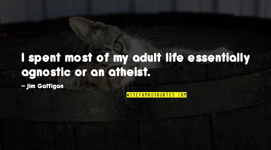 Atheist Agnostic Quotes By Jim Gaffigan: I spent most of my adult life essentially