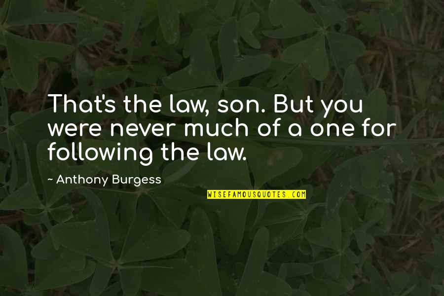 Atheology Quotes By Anthony Burgess: That's the law, son. But you were never