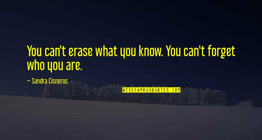 Atherea Quotes By Sandra Cisneros: You can't erase what you know. You can't