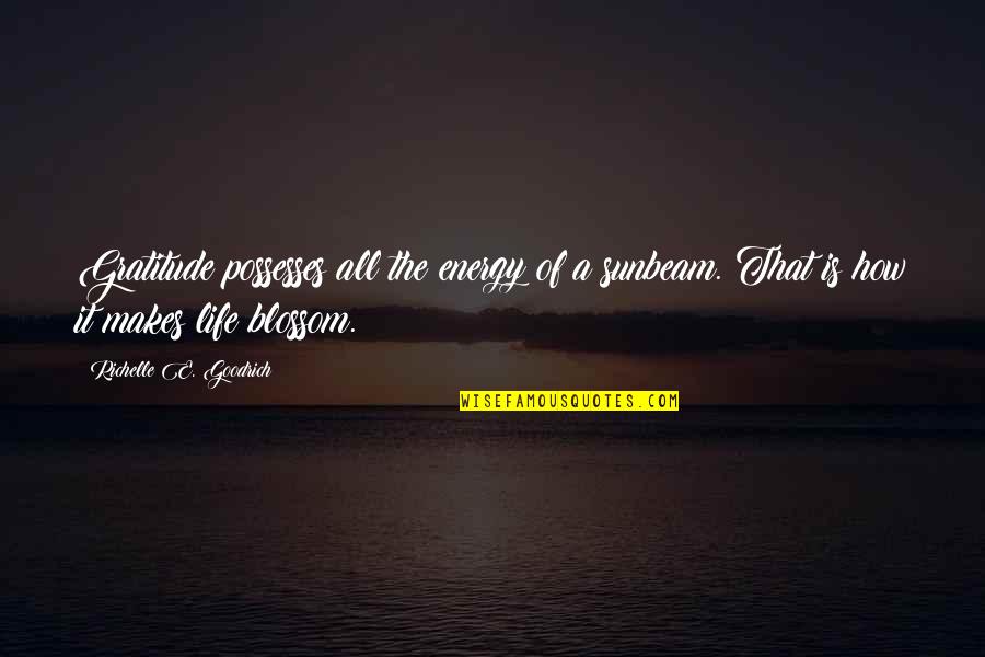 Athletes And Injury Quotes By Richelle E. Goodrich: Gratitude possesses all the energy of a sunbeam.