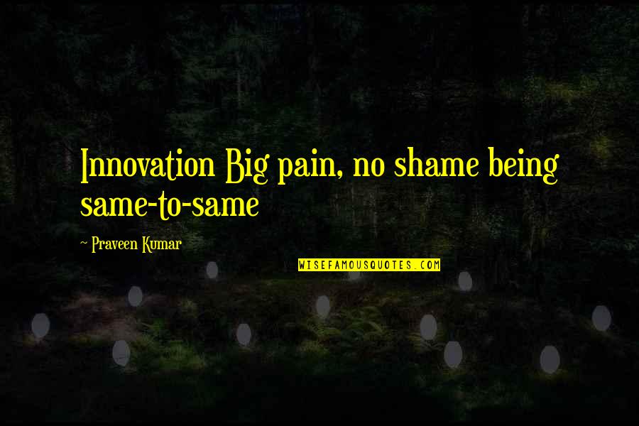 Atila El Quotes By Praveen Kumar: Innovation Big pain, no shame being same-to-same Atila El Quotes By Praveen Kumar: Innovation Big pain, no shame being same-to-same