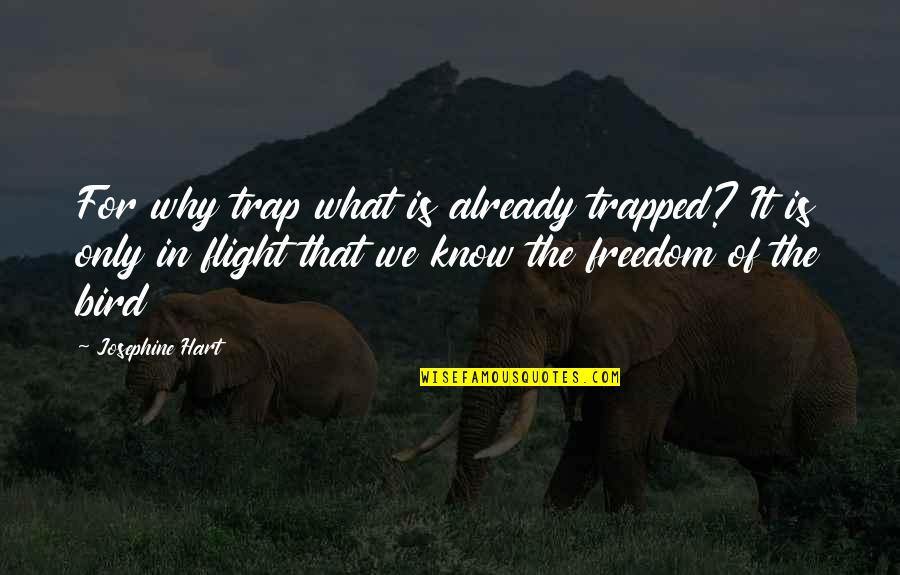 Atimes Quotes By Josephine Hart: For why trap what is already trapped? It