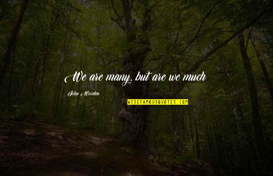 Ations Quotes By John Wooden: We are many, but are we much? Ations Quotes By John Wooden: We are many, but are we much?