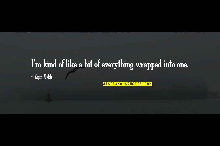 Ativos Quotes By Zayn Malik: I'm kind of like a bit of everything