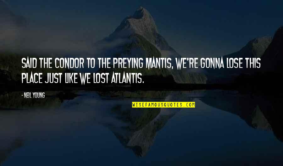 Atlantis Quotes By Neil Young: Said the condor to the preying mantis, we're