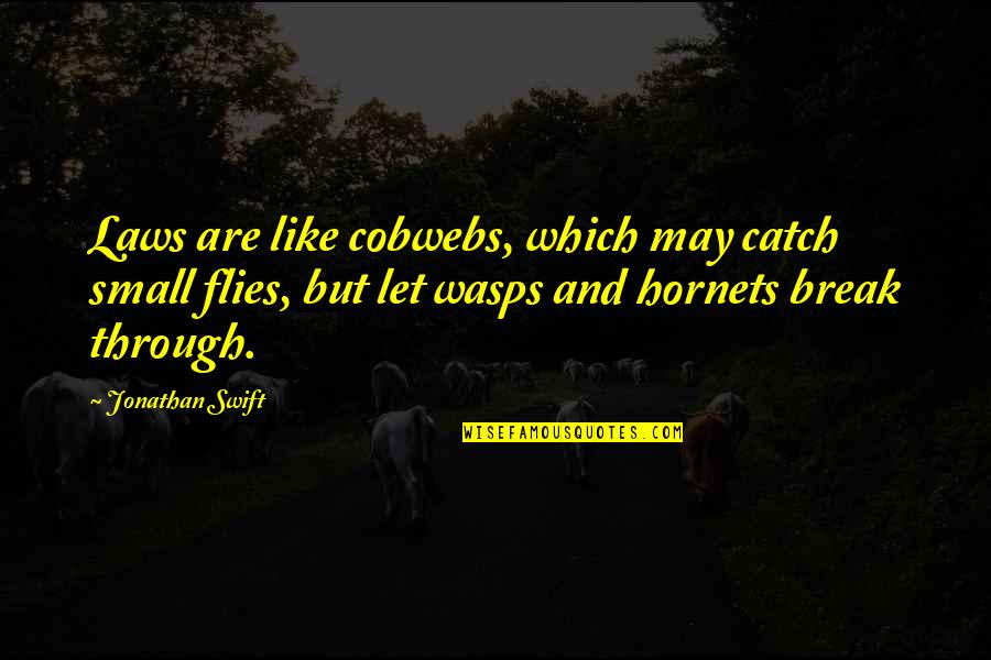 Atlatl Darts Quotes By Jonathan Swift: Laws are like cobwebs, which may catch small