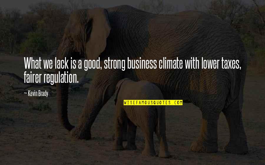 Atlumin Quotes By Kevin Brady: What we lack is a good, strong business