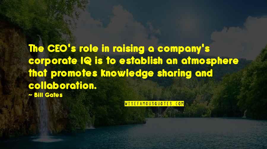 Atmosphere's Quotes By Bill Gates: The CEO's role in raising a company's corporate