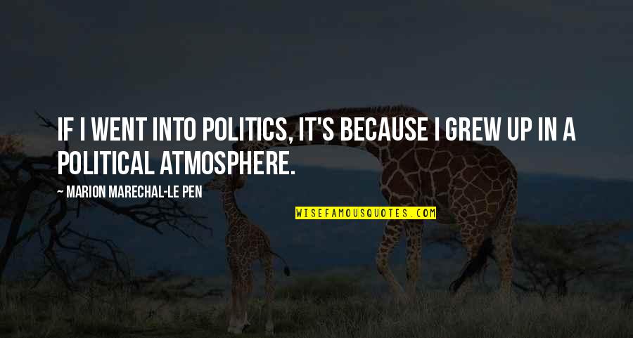Atmosphere's Quotes By Marion Marechal-Le Pen: If I went into politics, it's because I