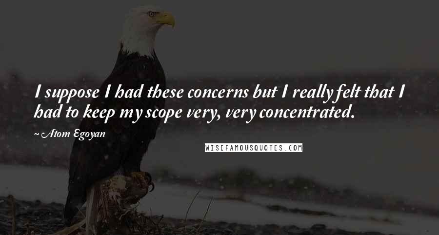 Atom Egoyan quotes: I suppose I had these concerns but I really felt that I had to keep my scope very, very concentrated.