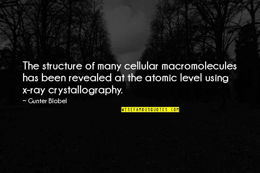 Atomic Quotes By Gunter Blobel: The structure of many cellular macromolecules has been