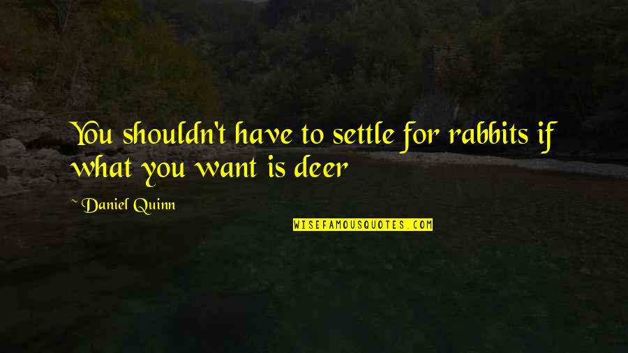 Atomistics Quotes By Daniel Quinn: You shouldn't have to settle for rabbits if