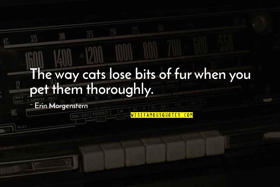 Atoru Iwata Quotes By Erin Morgenstern: The way cats lose bits of fur when
