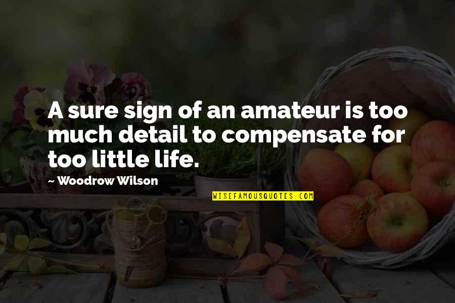 Atravesadas Quotes By Woodrow Wilson: A sure sign of an amateur is too