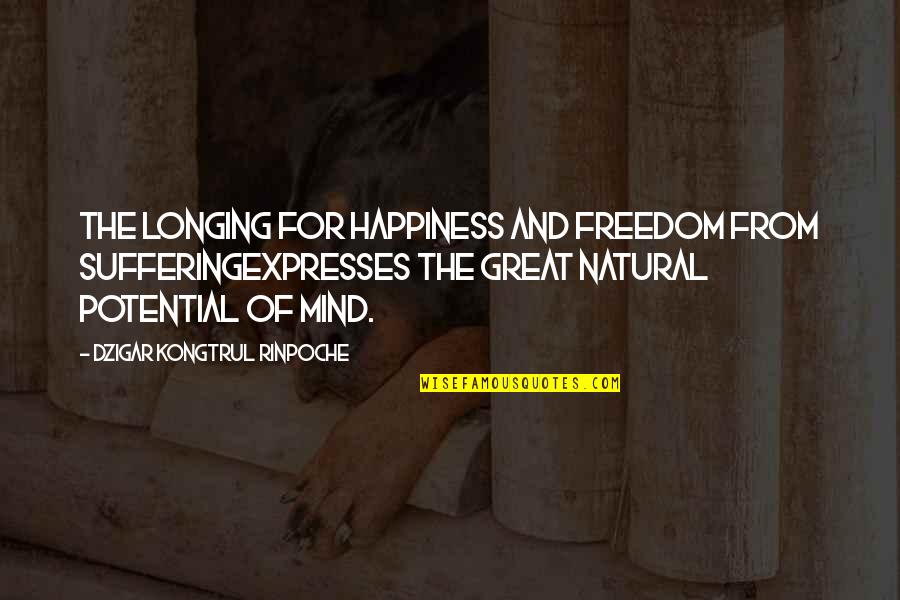 Atravessar Song Quotes By Dzigar Kongtrul Rinpoche: The longing for happiness and freedom from sufferingexpresses