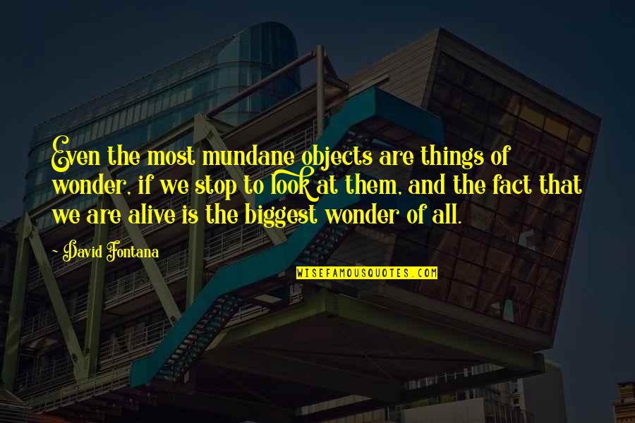 Atrophied Thyroid Quotes By David Fontana: Even the most mundane objects are things of