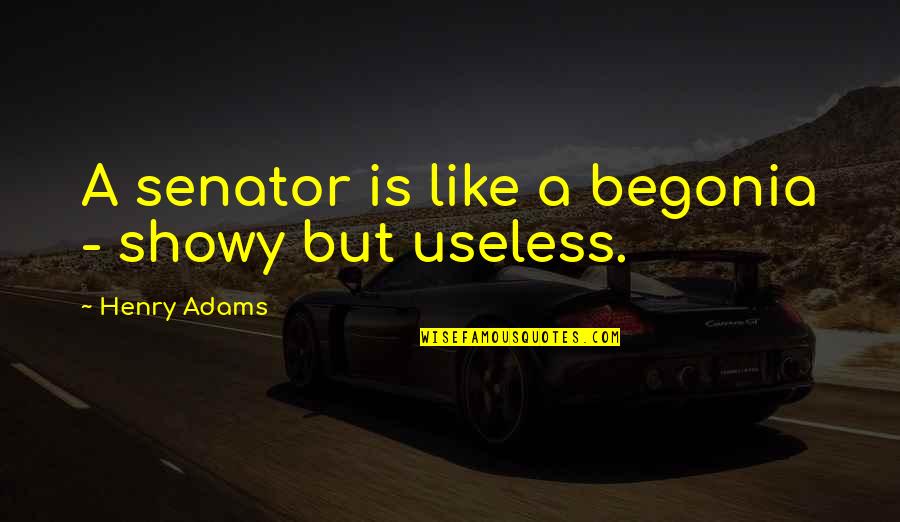 Atrus Myst Quotes By Henry Adams: A senator is like a begonia - showy