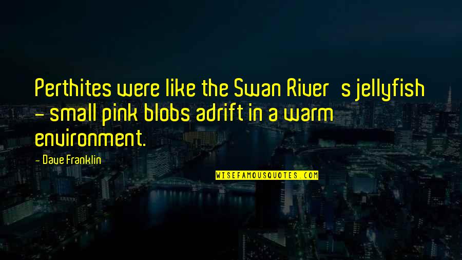 Atsuko Quotes By Dave Franklin: Perthites were like the Swan River's jellyfish - Atsuko Quotes By Dave Franklin: Perthites were like the Swan River's jellyfish -