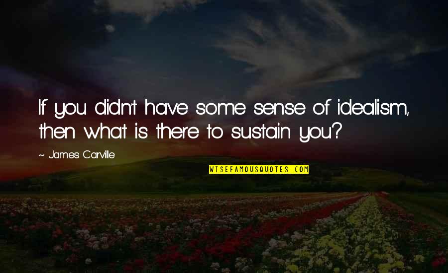 Attacchi Portapacchi Quotes By James Carville: If you didn't have some sense of idealism,