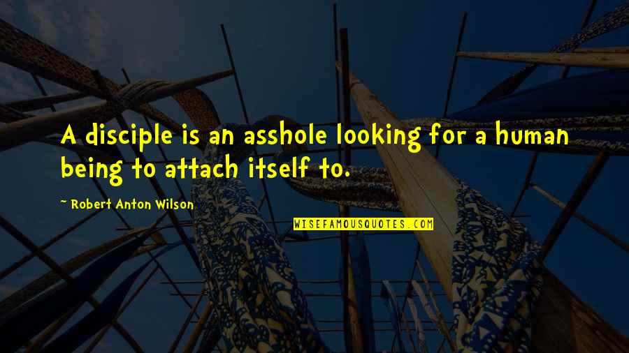 Attach Quotes By Robert Anton Wilson: A disciple is an asshole looking for a