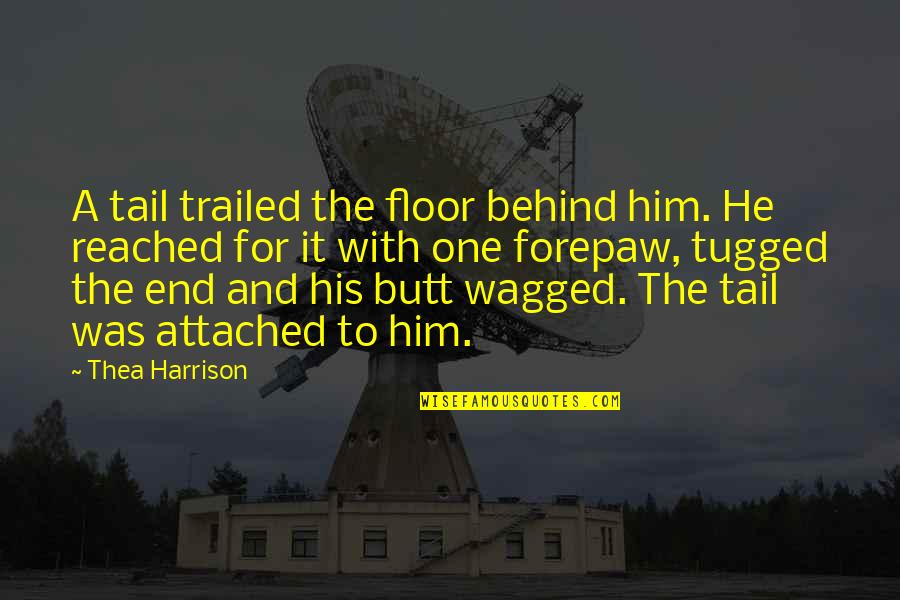 Attached To Him Quotes By Thea Harrison: A tail trailed the floor behind him. He