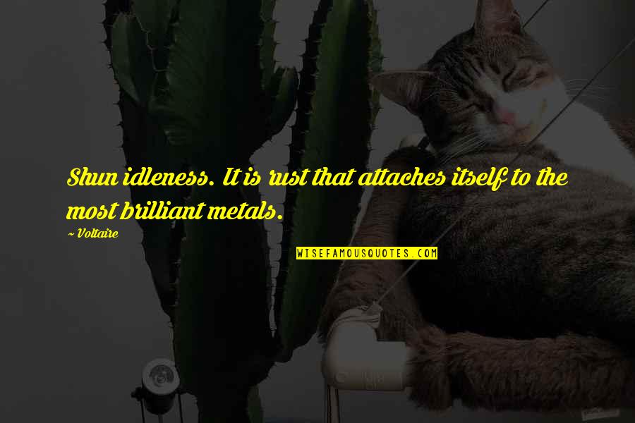 Attaches Quotes By Voltaire: Shun idleness. It is rust that attaches itself