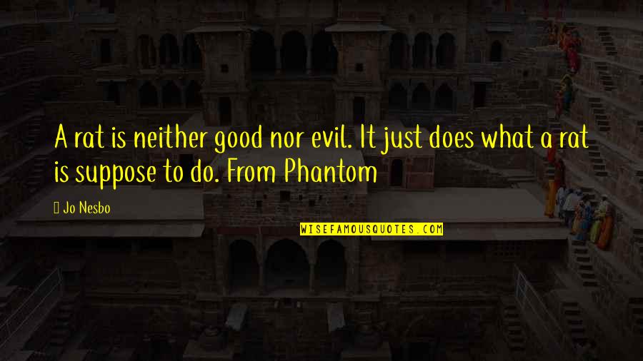 Attack On Titan Jens Kirstein Quotes By Jo Nesbo: A rat is neither good nor evil. It