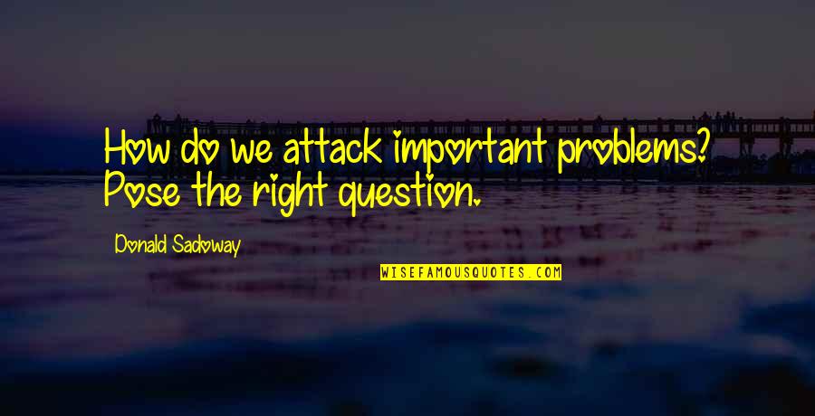 Attack Quotes By Donald Sadoway: How do we attack important problems? Pose the