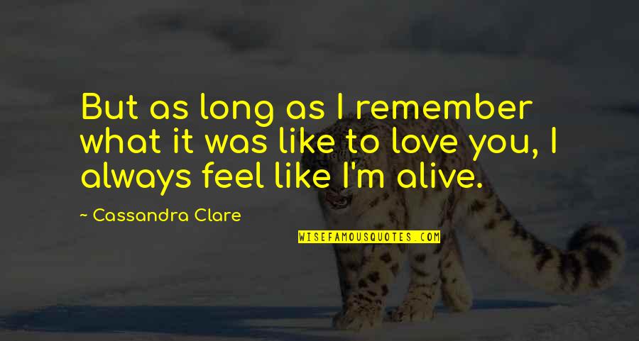 Attacking A Person's Character Quotes By Cassandra Clare: But as long as I remember what it