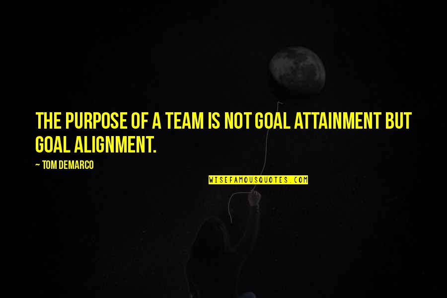 Attainment Quotes By Tom DeMarco: The purpose of a team is not goal
