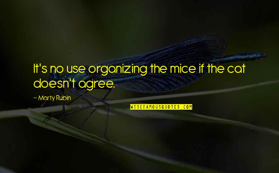 Atteindre Quotes By Marty Rubin: It's no use organizing the mice if the