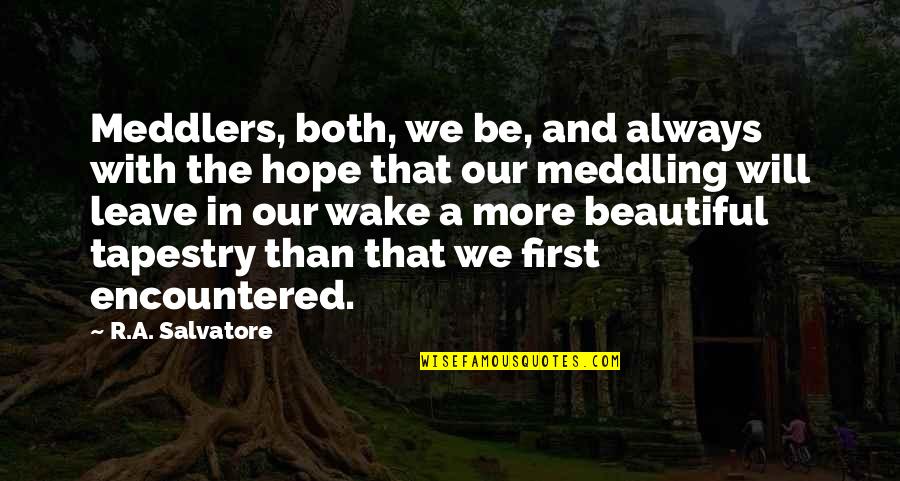 Atteinte Radial Quotes By R.A. Salvatore: Meddlers, both, we be, and always with the